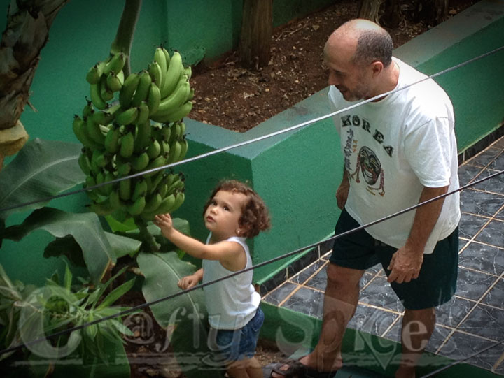 Kira at the Banana Tree with Grandpa