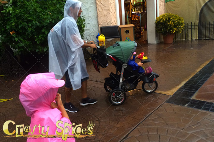 Rainy Day at Busch Gardens Tampa - We got Wet!