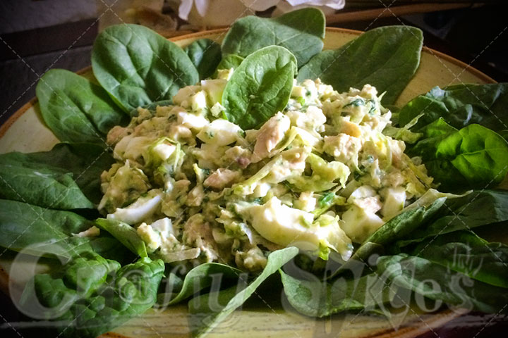 Spinach-Tuna Salad Close-up 