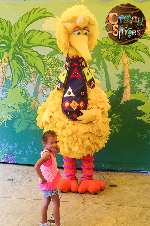 Pictures with Big-Bird at Busch Gardens