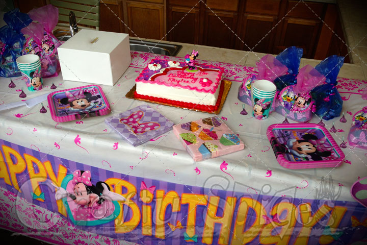 Minnie Mouse Theme Party - Birthday Cake and goodies