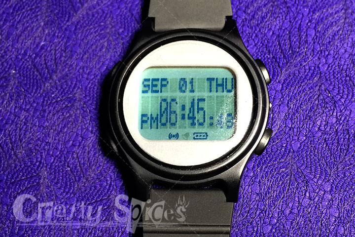 WatchMinder front face 02