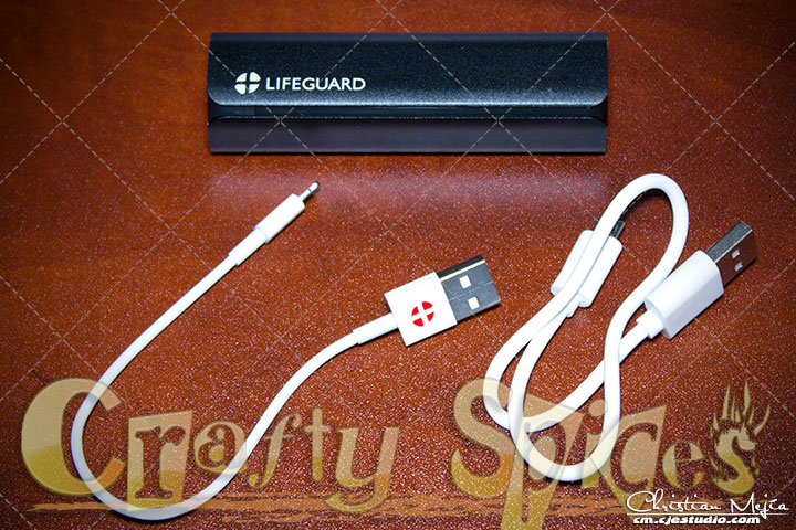 +LIFEGUARD MINI 1 Portable Charger