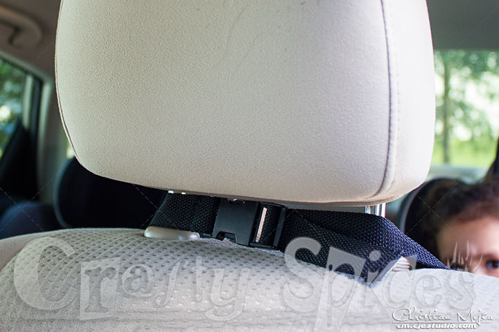 Seat Back Protector (Cover)