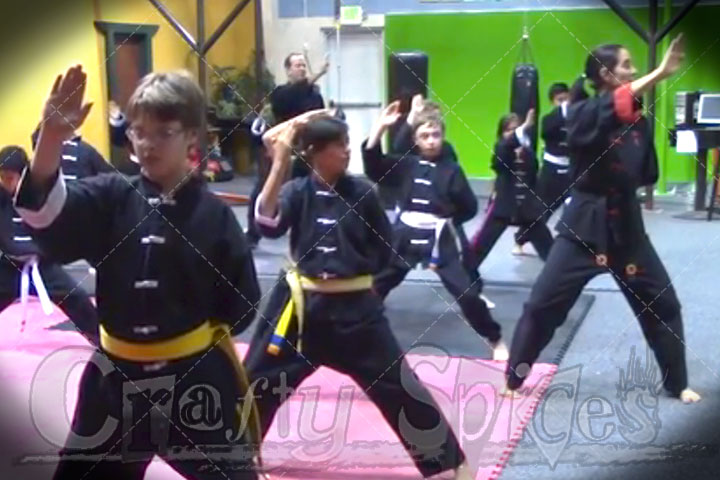 Clases of Martial Arts for Kids - Shens-Chi