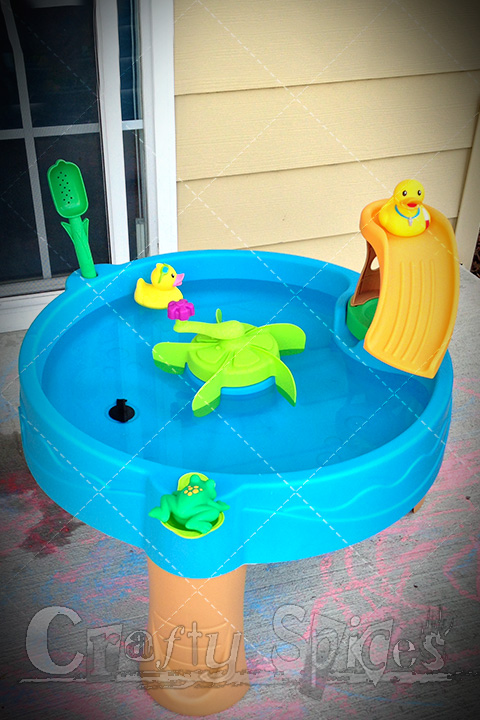 Step2 Duck Pond Water Table