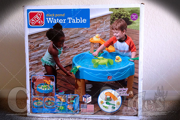 Step2 Duck Pond Water Table