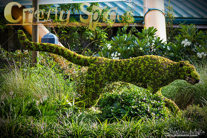 The Chita topiary at Busch Gardens