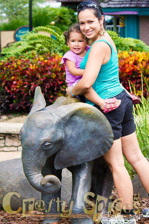 Kaylee, Me and the baby Elephant 