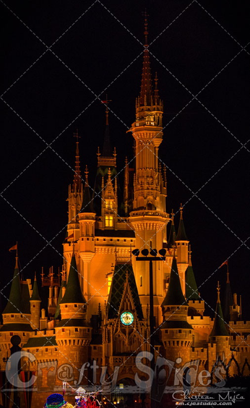 Walt Disney World, Cinderella Castle in Orange