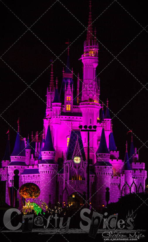 Walt Disney World, Cinderella Castle in Pink