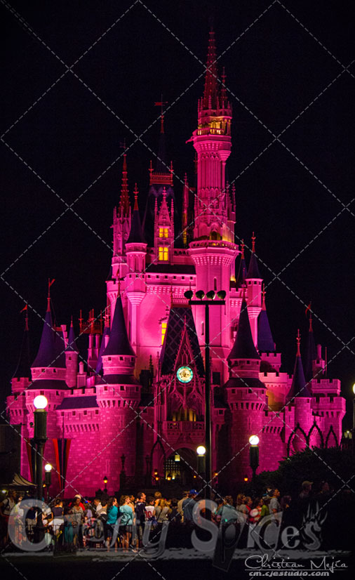 Walt Disney World, Cinderella Castle in Red