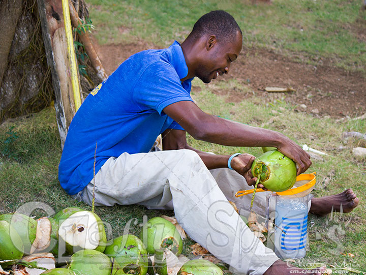 A friend helping us get Coconut water and meat