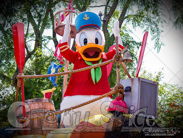 Donald Duck at one of the parades at Animal Kingdom