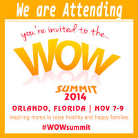 WoW Summit 2014 Event